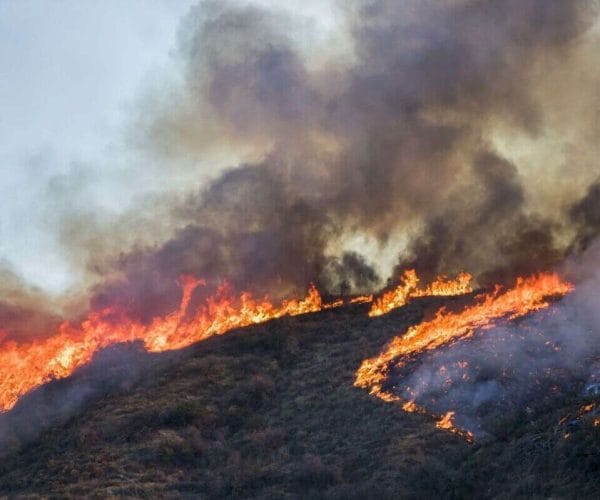 Fire Season Safety Bioclean