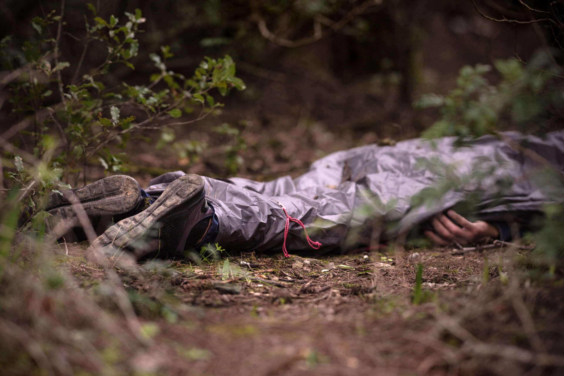 What Does a Dead Body Smell Like? The Bioclean Team