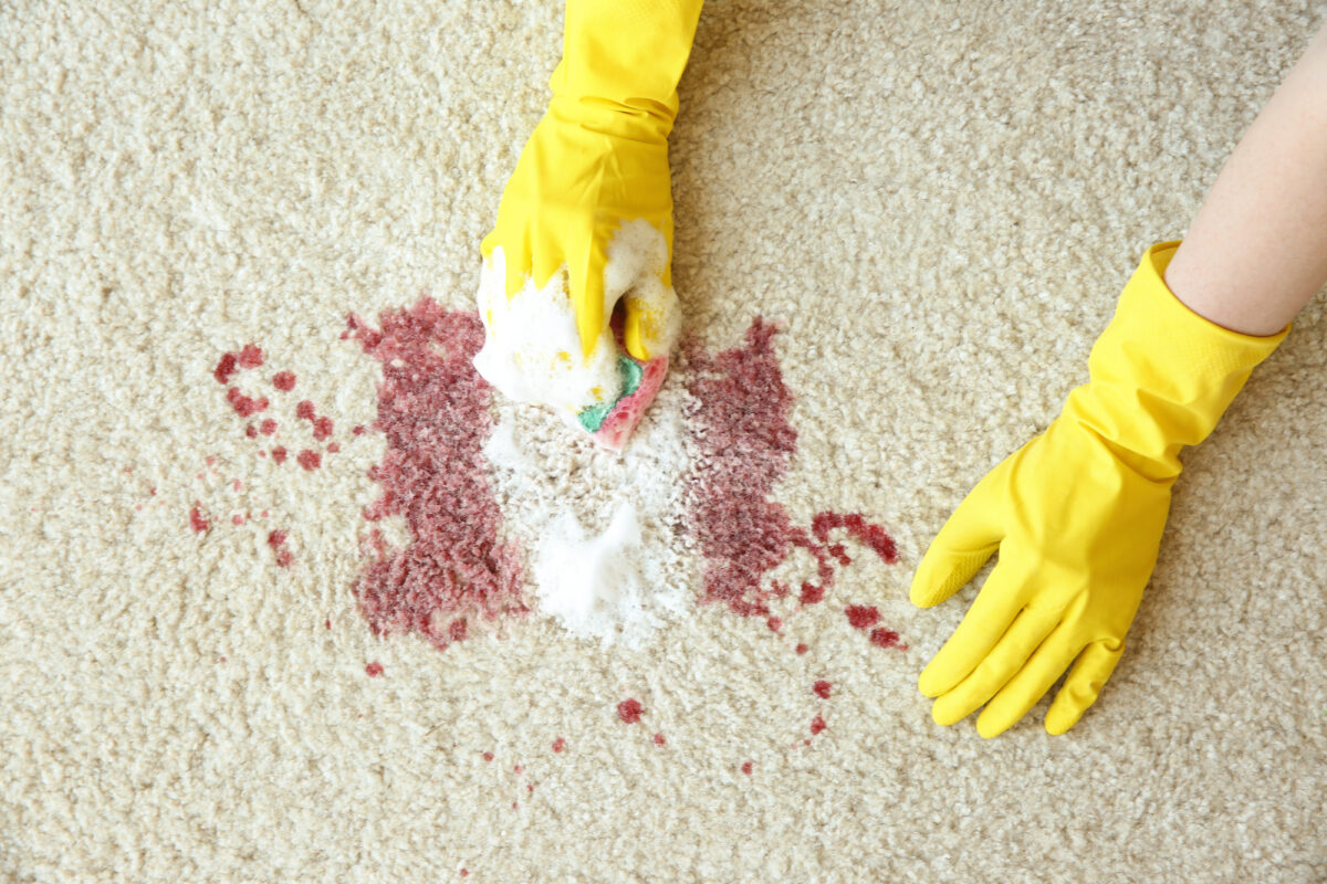 hands wearing yellow gloves removing blood stain from carpet